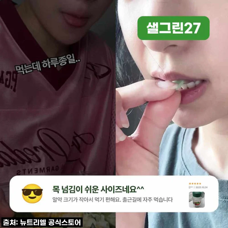 뉴트리엘 샐그린27: 이거 하나면 샐러드 부럽지 않아요! 식단관리 끝판왕 등장!