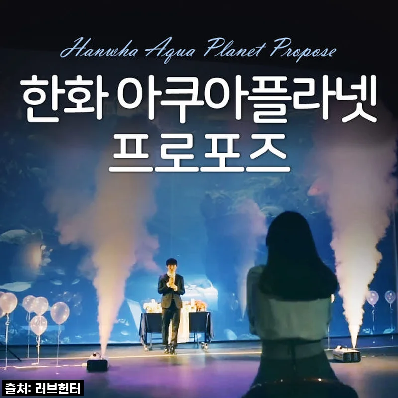 잊지 못할 감동! 한화 아쿠아플라넷 프로포즈 전문가패키지, 내가 직접 경험해본 솔직 후기