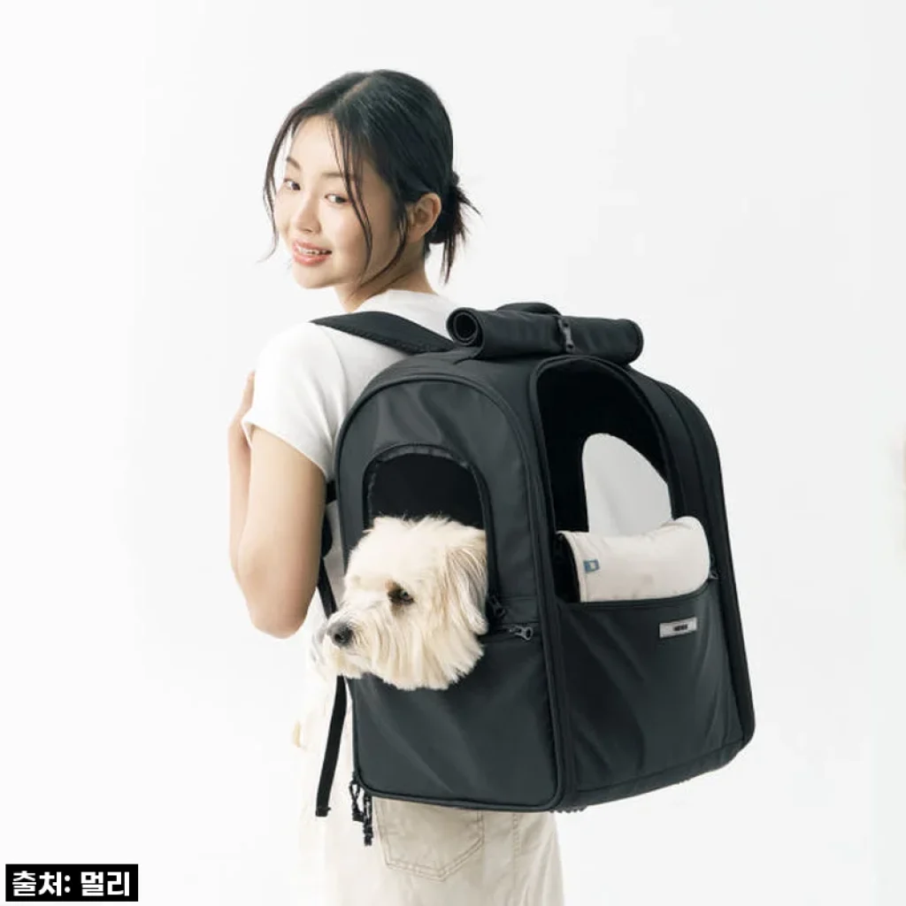 멀리 강아지 이동가방 마일러백팩 사용 후기와 솔직한 경험담
