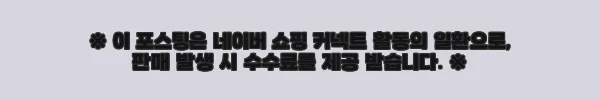 헥스 E100 입문용 일렉기타, 첫 기타로 딱 맞는 선택 후기 9 이해관계문구