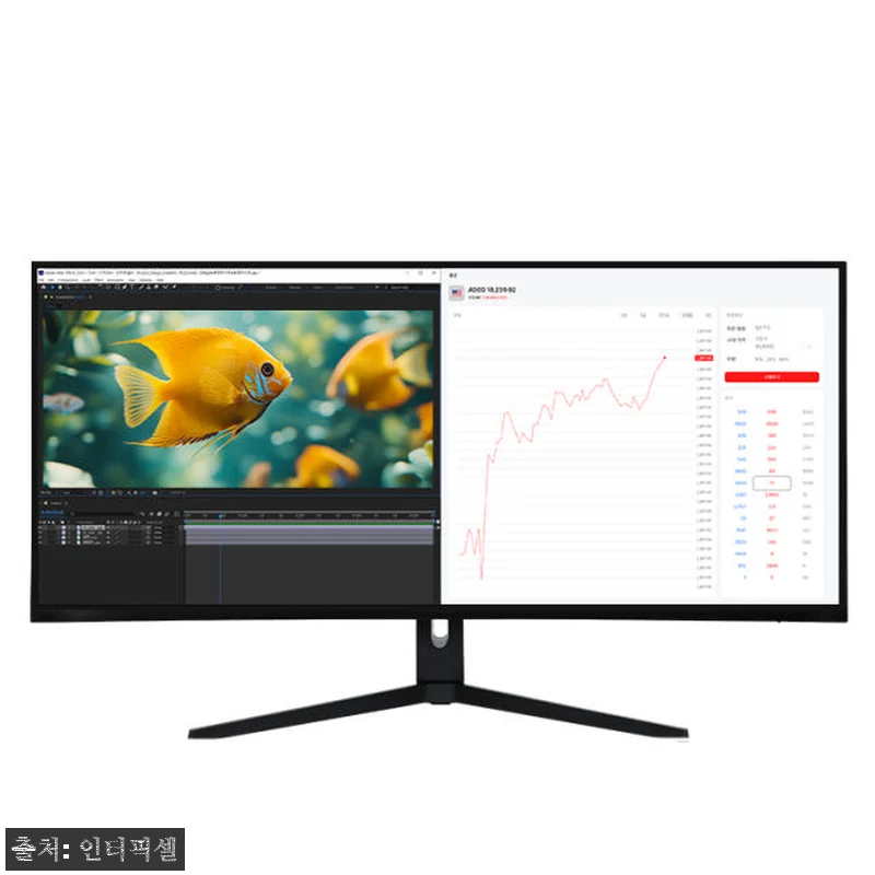 인터픽셀 IPU4010 나노IPS 5 관련 이미지 1