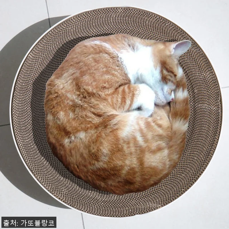 피타 서클 고양이 50cm 대형 스크 관련 이미지 1