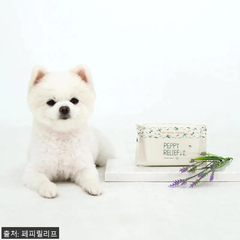 페피릴리프 강아지 물티슈 사용후기: 관련 이미지 1