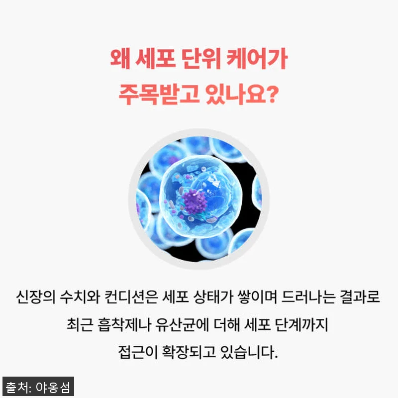 야옹섬 고양이 영양제 신장 인텐시브 관련 이미지 2