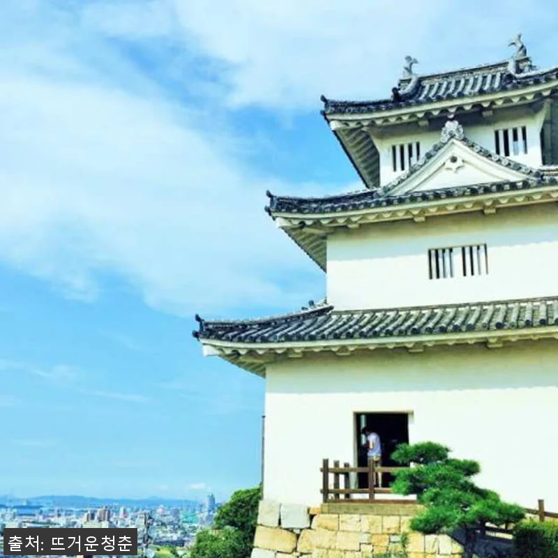 일본 시코쿠 가가와 4시간, 8시간 관련 이미지 2