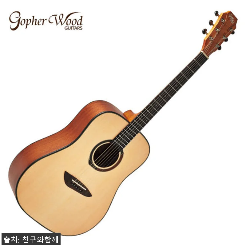 고퍼우드 G100 드레드넛 입문용 기 관련 이미지 1