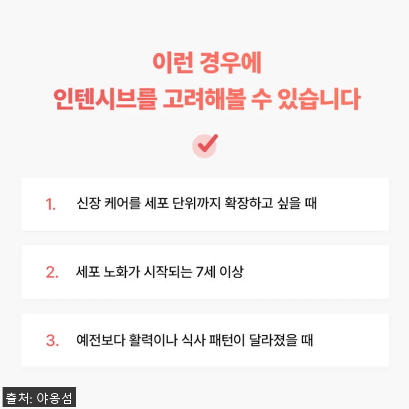 야옹섬 고양이 영양제 신장 인텐시브 관련 이미지 3