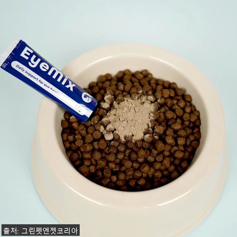 뉴질랜드 그린펫엔젯 아이믹스 강아지 관련 이미지 3