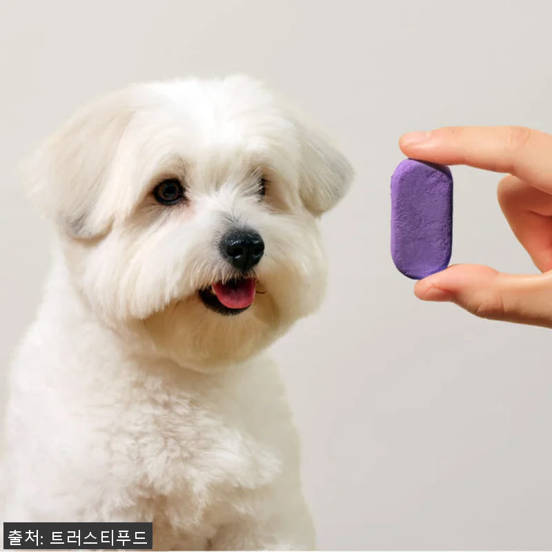트러스티푸드 동결건조 저알러지 한방캡 관련 이미지 2