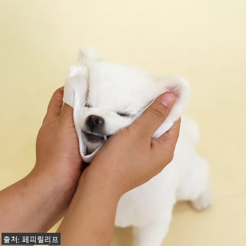 페피릴리프 강아지 물티슈 사용후기: 관련 이미지 4