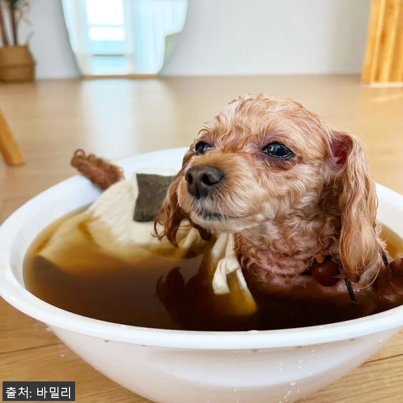 바밀리 파우치 입욕제 3종 쑥 한 다 관련 이미지 4