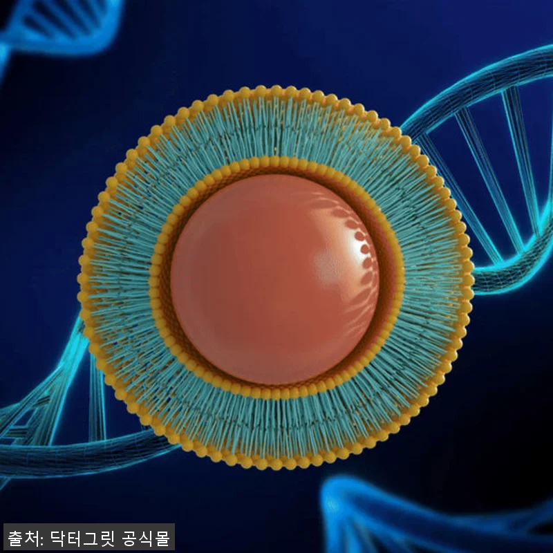 닥터그릿 리포좀 식물성 멜라토닌 5m 관련 이미지 5