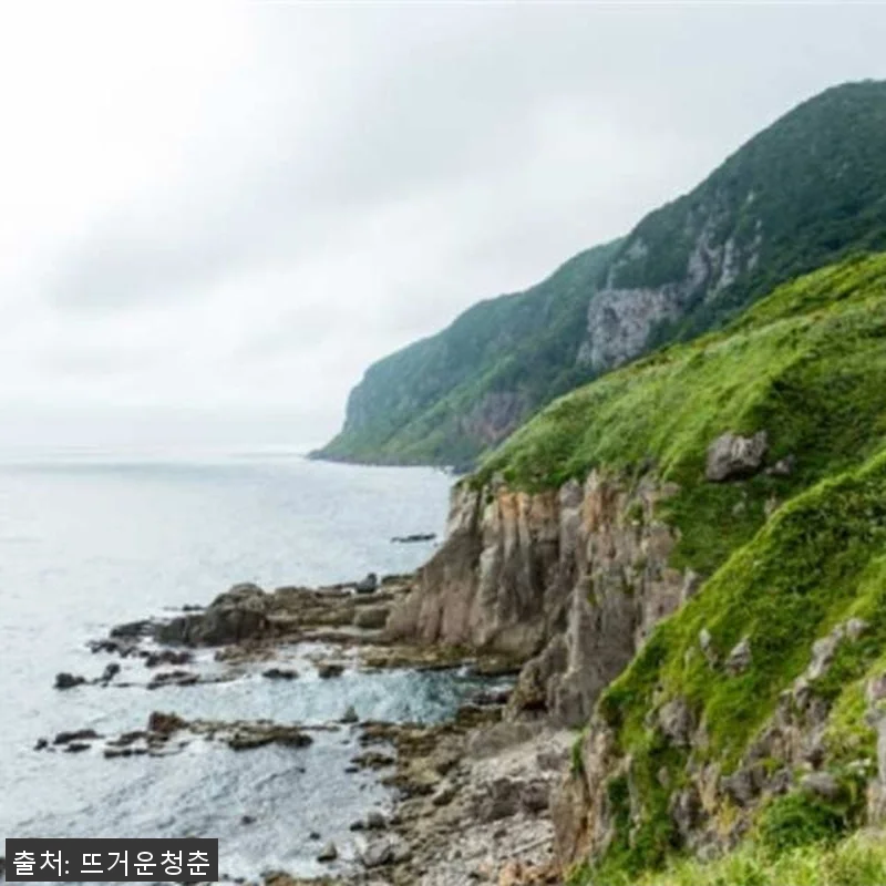 일본 홋카이도 전세차 반나절 관광 체 관련 이미지 6