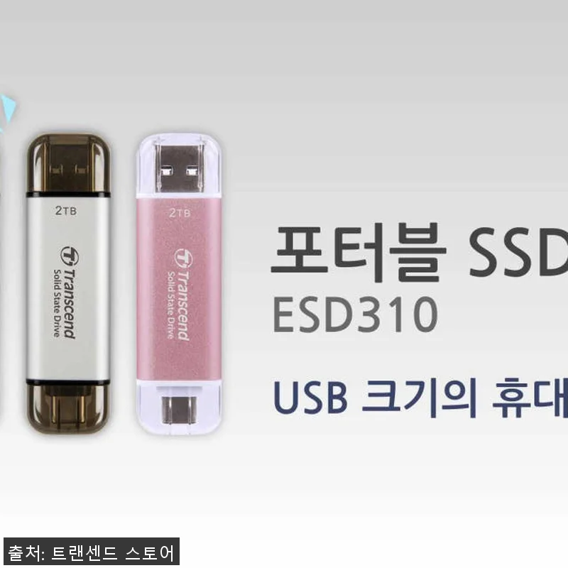 트랜센드 ESD310 초소형 외장SS 관련 이미지 7