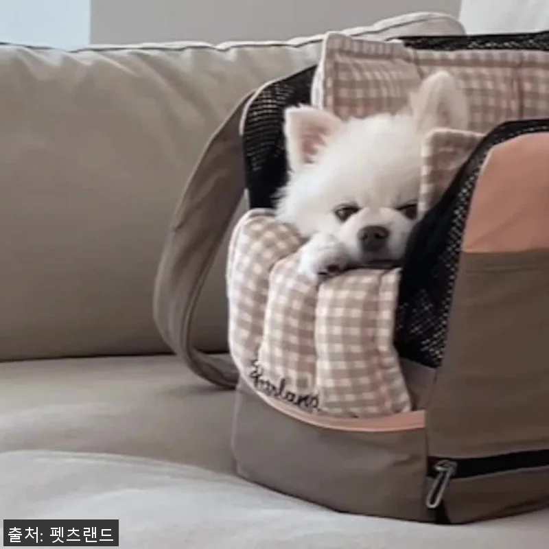 강아지 슬링백 이동 가방, 직접 써보 관련 이미지 7