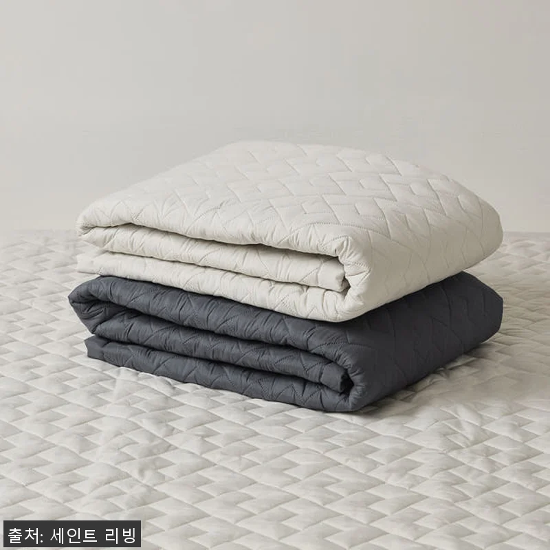 세인트리빙 전기요 프리미엄 그래핀 신 관련 이미지 8