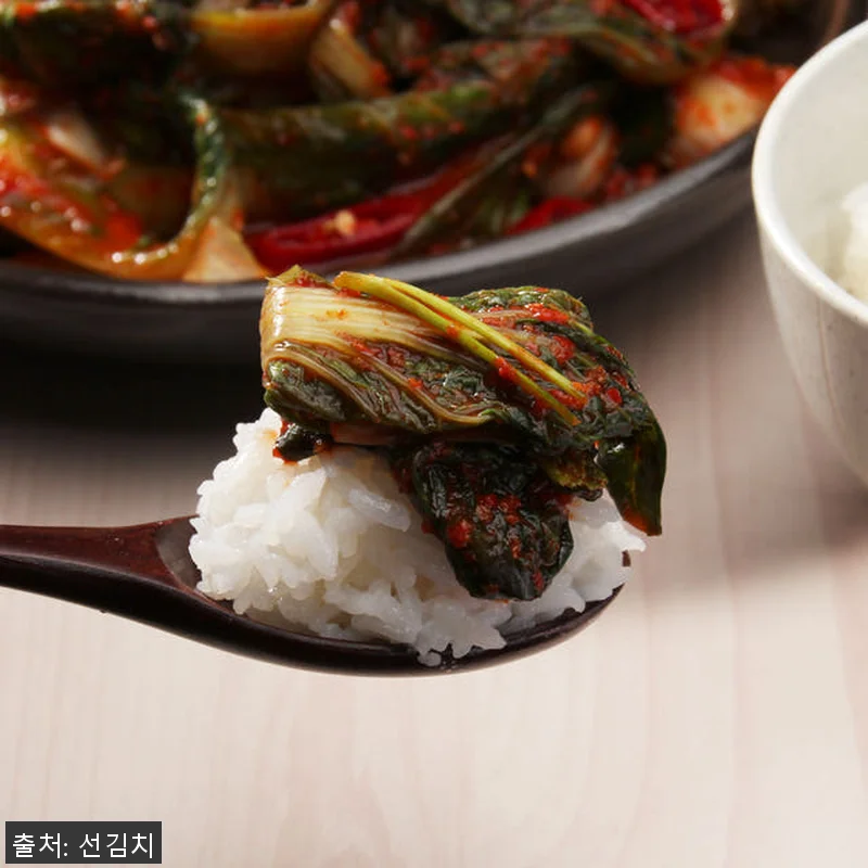 말바우시장 선김치 전라도 국산 알타리 관련 이미지 9