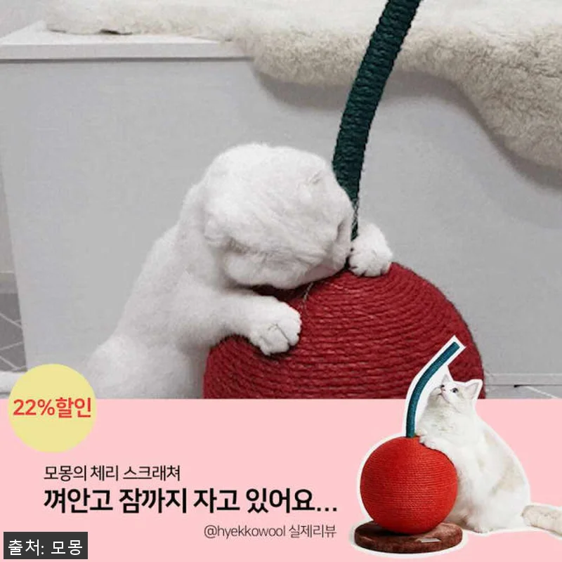 수직스크래쳐 체리 원형 스크래쳐 사용 관련 이미지 10
