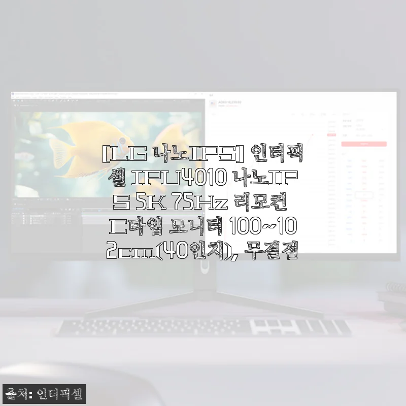 인터픽셀 IPU4010 나노IPS 5K 40인치 모니터 사용후기