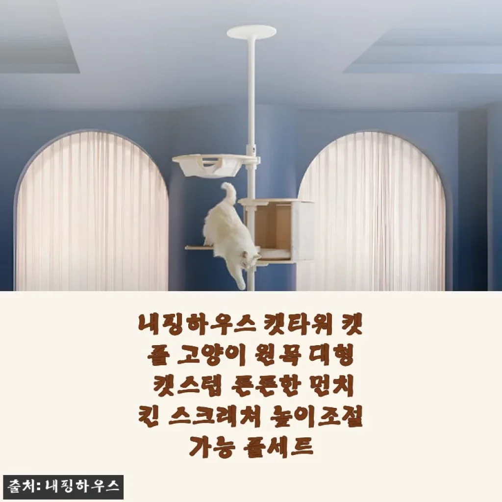 내핑하우스 캣타워 캣폴 사용후기: 6년 경험과 최신 모델의 만남