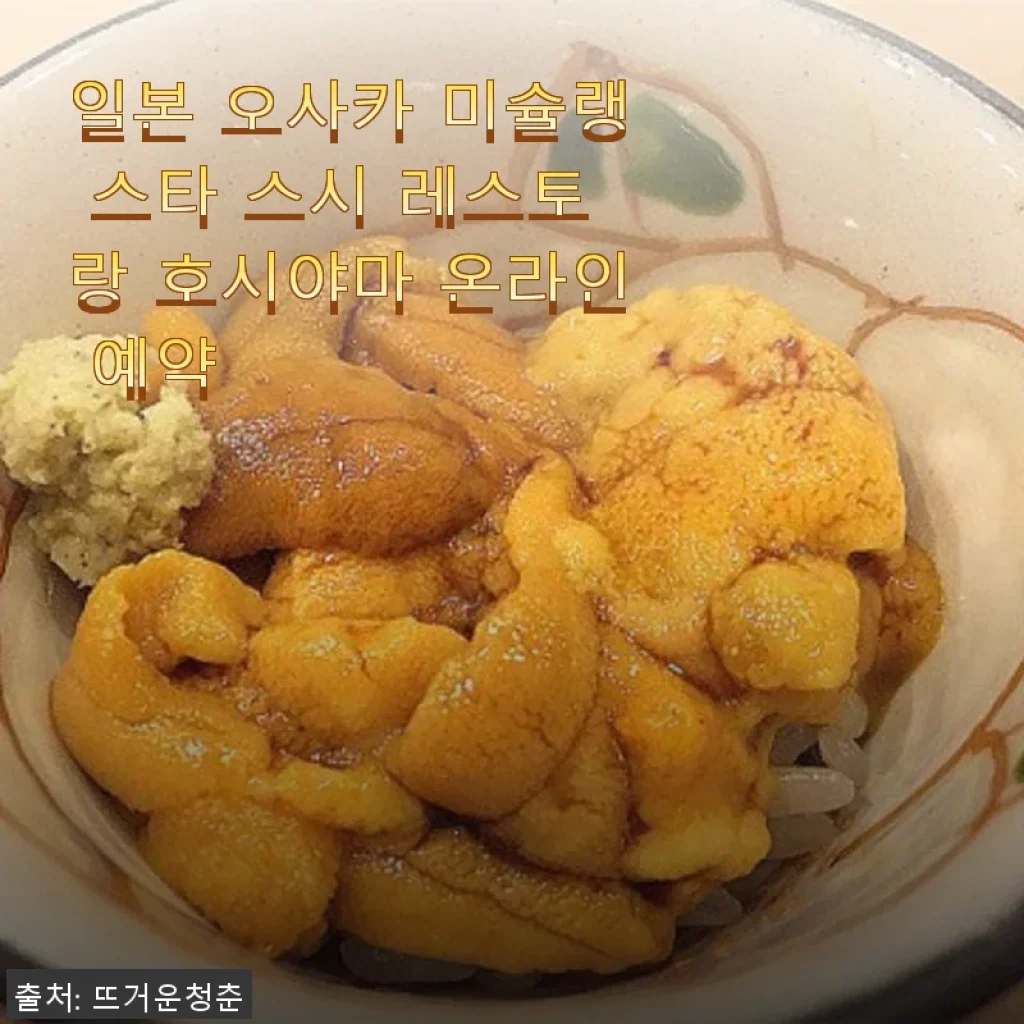 일본 오사카 미슐랭 스타 스시 레스토랑 호시야마 온라인 예약 사용후기