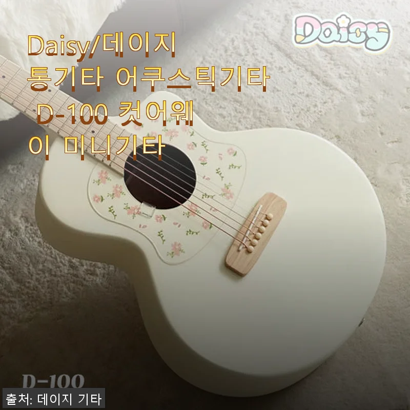 Daisy 데이지 통기타 D-100 컷어웨이 미니기타 사용후기: 입문용으로 딱 좋은 아담한 기타