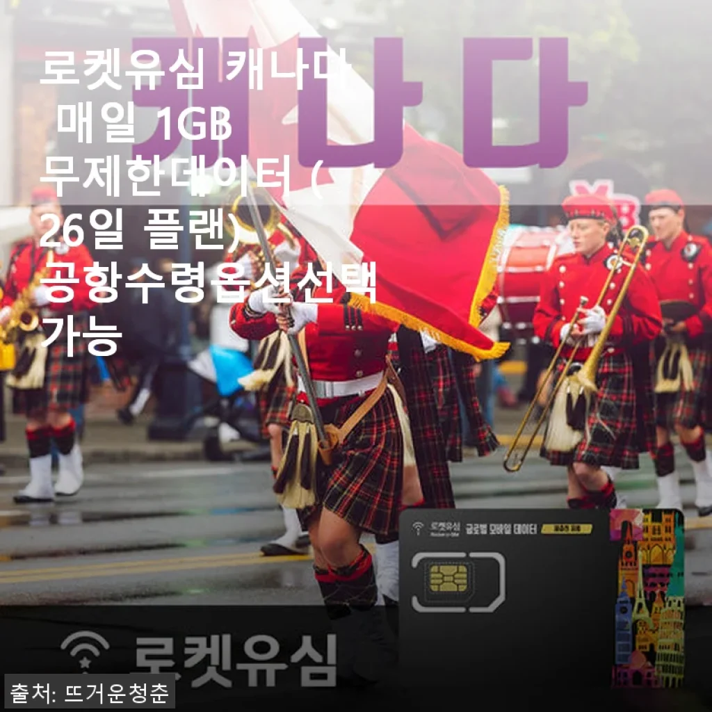 로켓유심 캐나다 매일 1GB 무제한데이터 26일 플랜 사용 후기