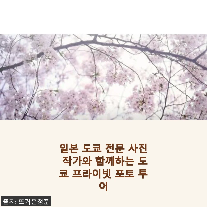 도쿄 프라이빗 포토 투어 후기: 일본 도쿄에서 특별한 순간을 담다