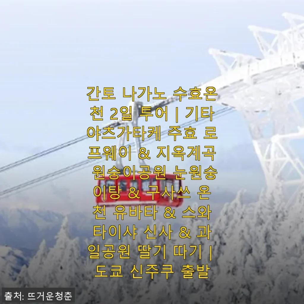 간토 나가노 수효온천 2일 투어 직접 다녀온 후기