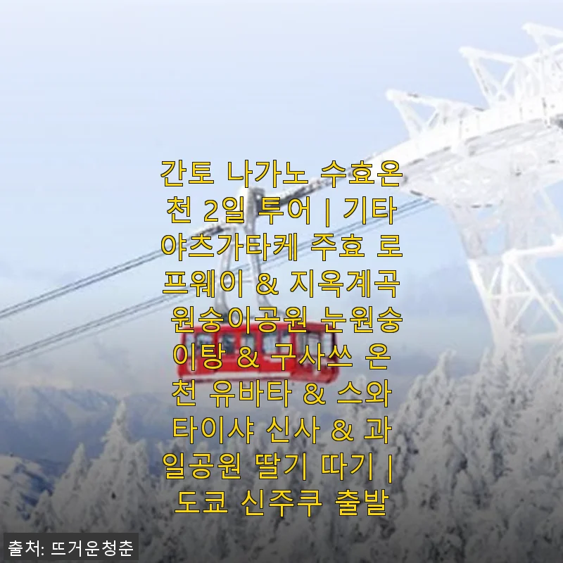 간토 나가노 수효온천 2일 투어 직접 다녀온 후기