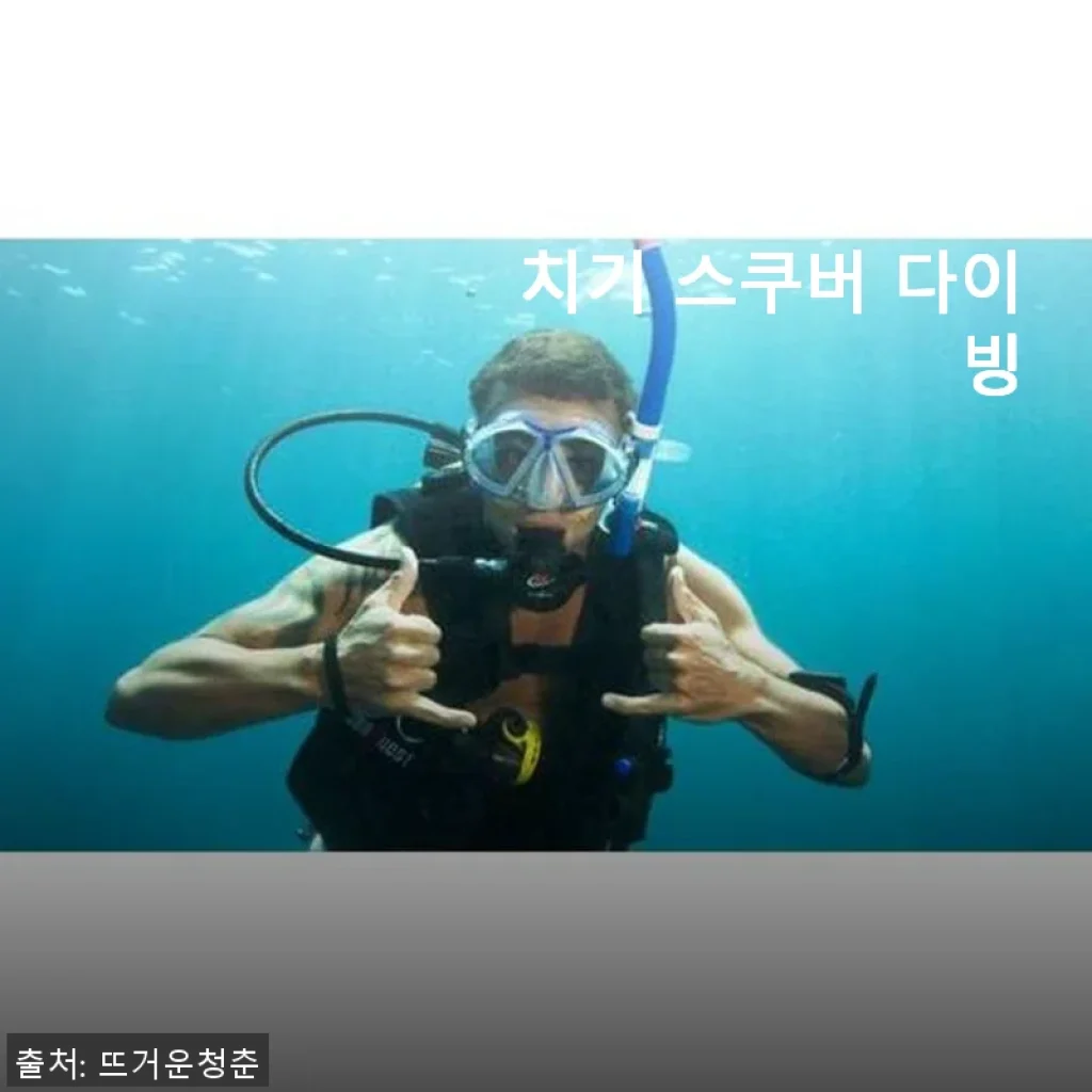호주 브리즈번 모튼 아일랜드 당일치기 스쿠버 다이빙 체험 후기