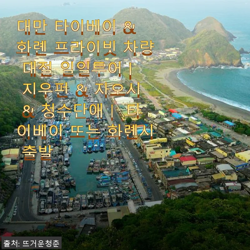대만 타이베이 & 화롄 프라이빗 차량 대절 일일투어 사용후기