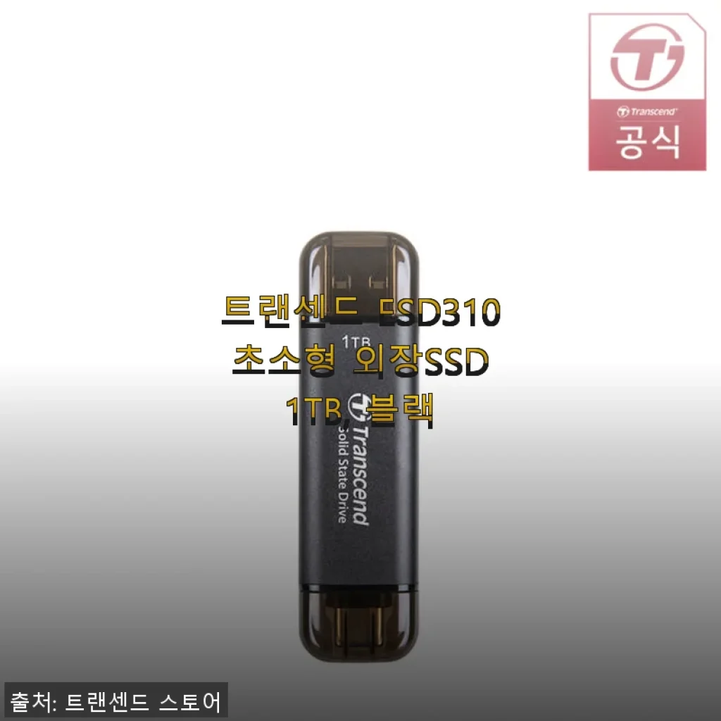 트랜센드 ESD310 초소형 외장SSD 1TB 사용 후기 - 휴대성과 속도 모두 만족!