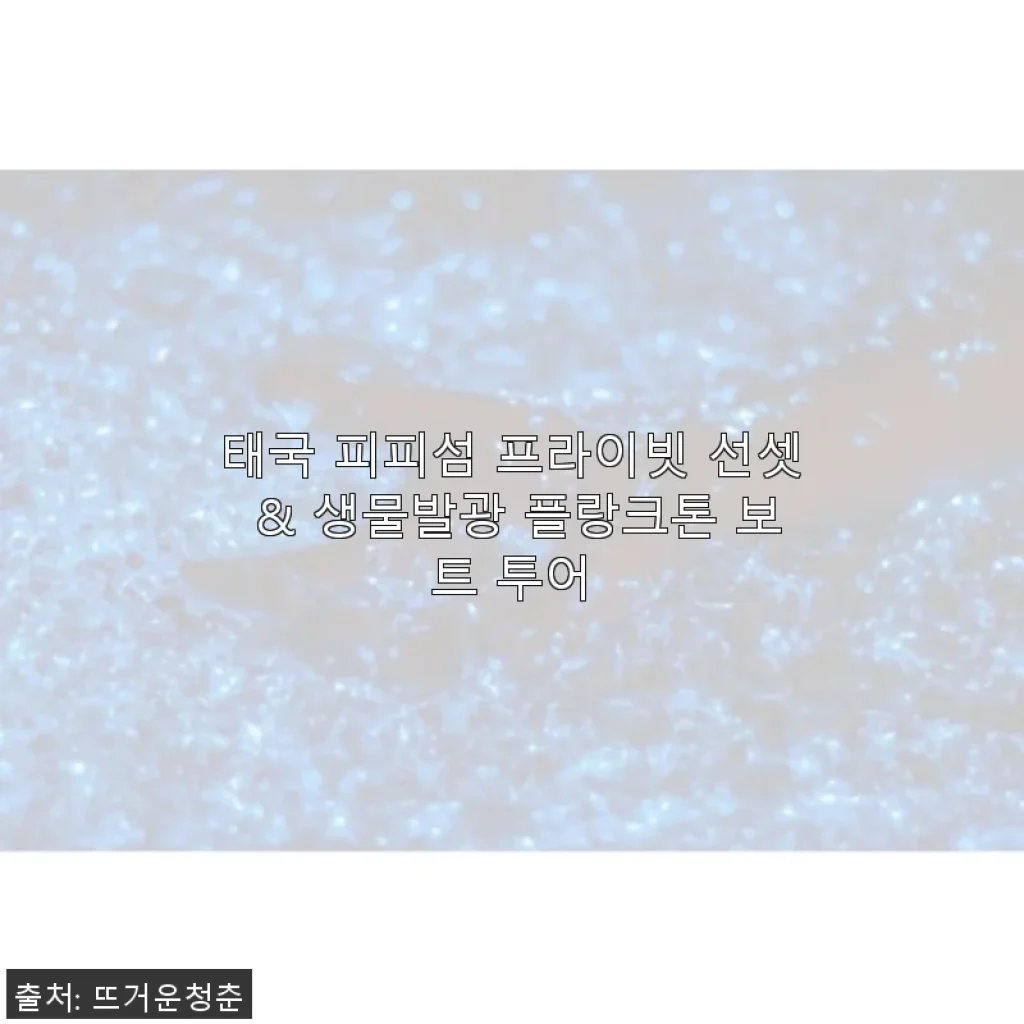 태국 피피섬 프라이빗 선셋 & 생물발광 플랑크톤 보트 투어 사용후기