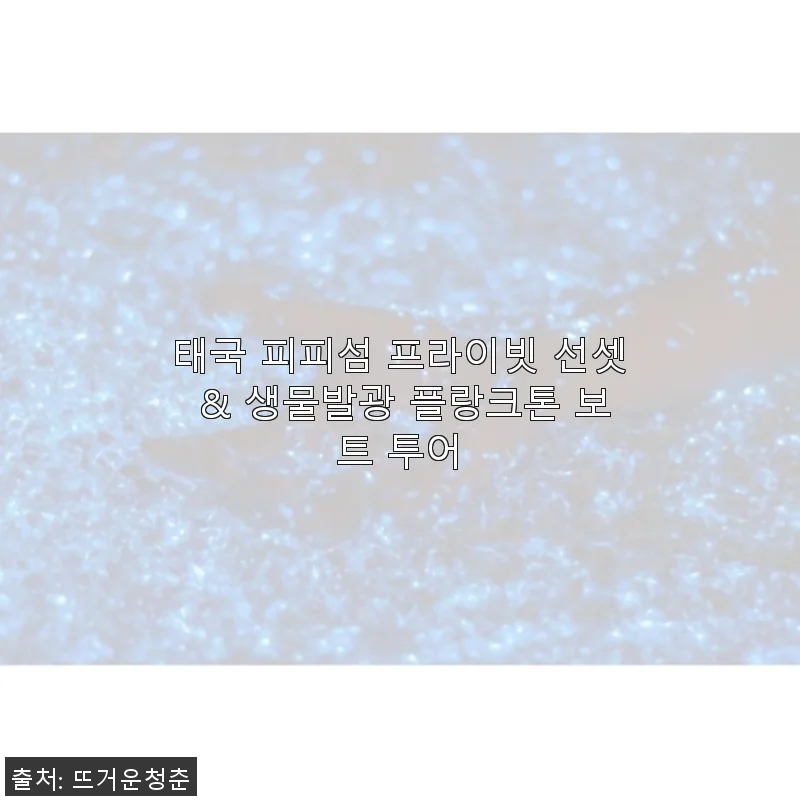 태국 피피섬 프라이빗 선셋 & 생물발광 플랑크톤 보트 투어 사용후기