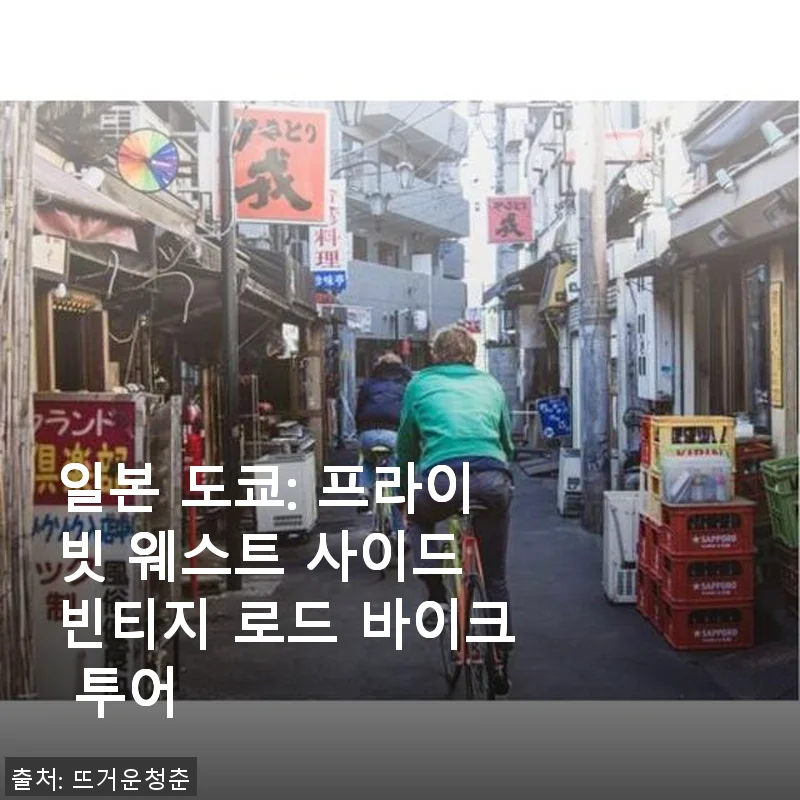 일본 도쿄 프라이빗 웨스트 사이드 빈티지 로드 바이크 투어 사용후기
