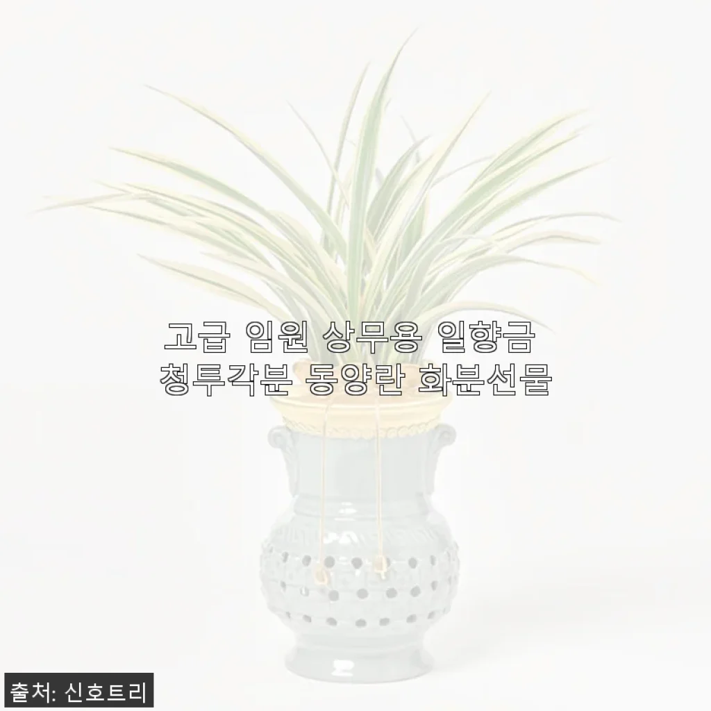 고급 임원 상무용 일향금 청투각분 동양란 화분 사용후기