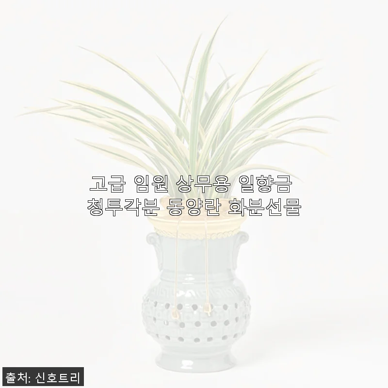고급 임원 상무용 일향금 청투각분 동양란 화분 사용후기