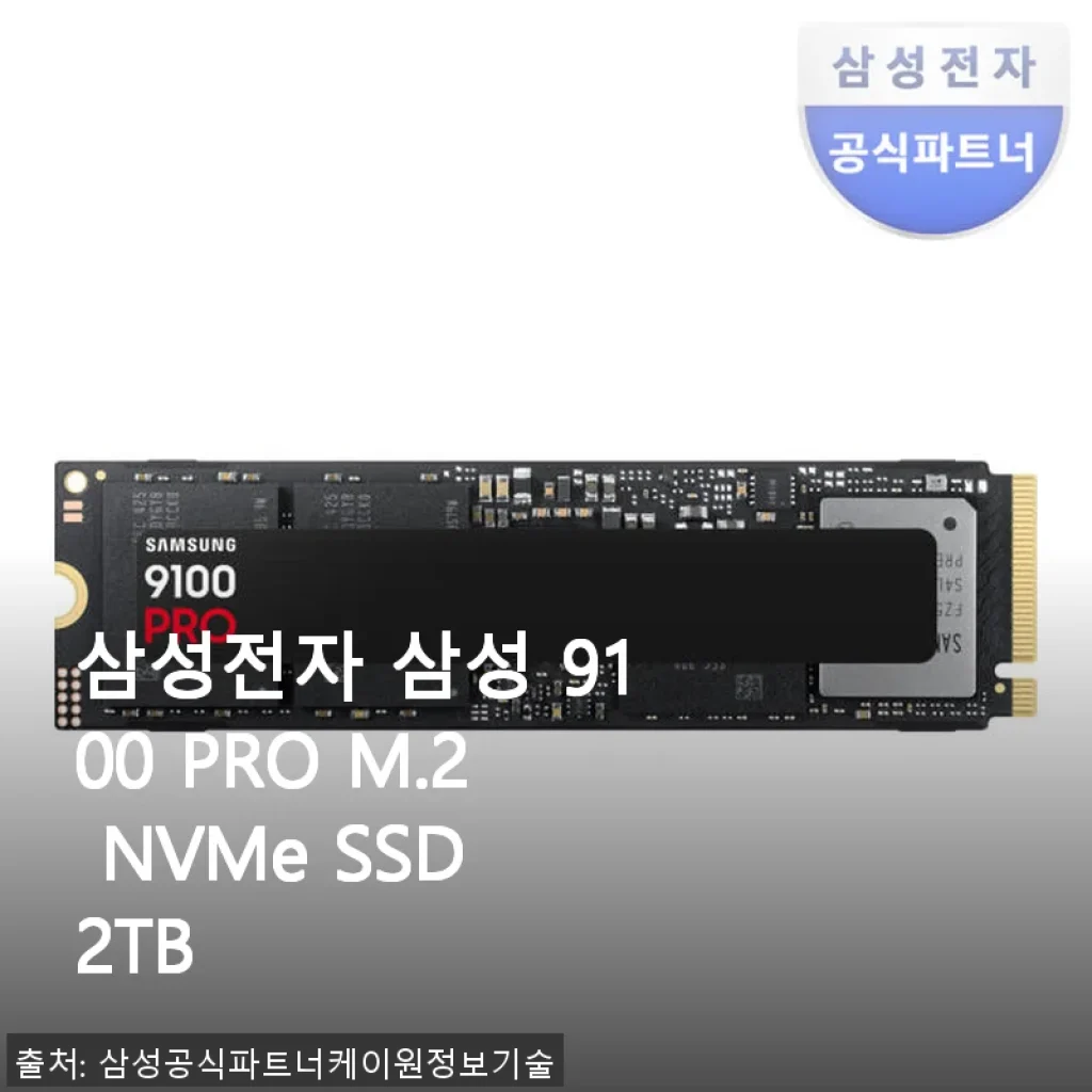 삼성전자 삼성 9100 PRO M.2 NVMe SSD 2TB 사용후기와 솔직한 경험