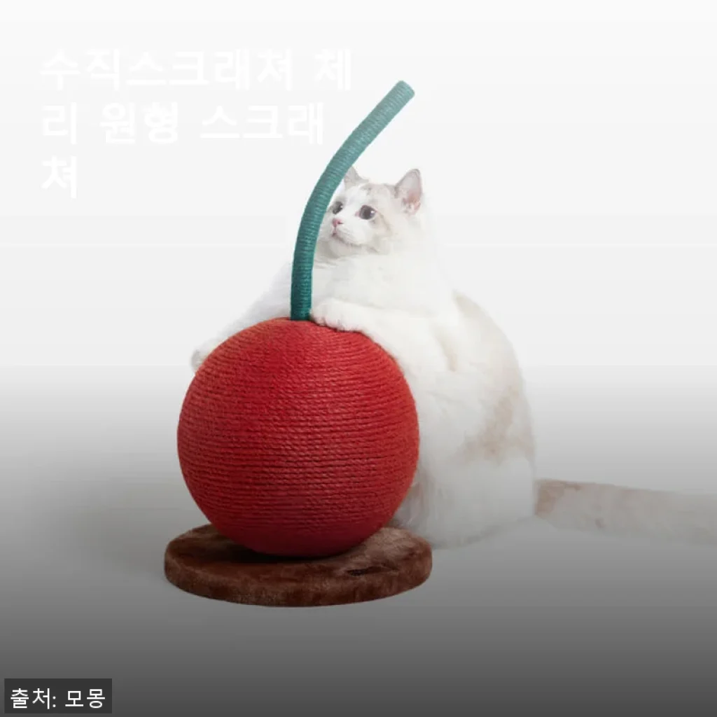 수직스크래쳐 체리 원형 스크래쳐 사용후기와 구매팁