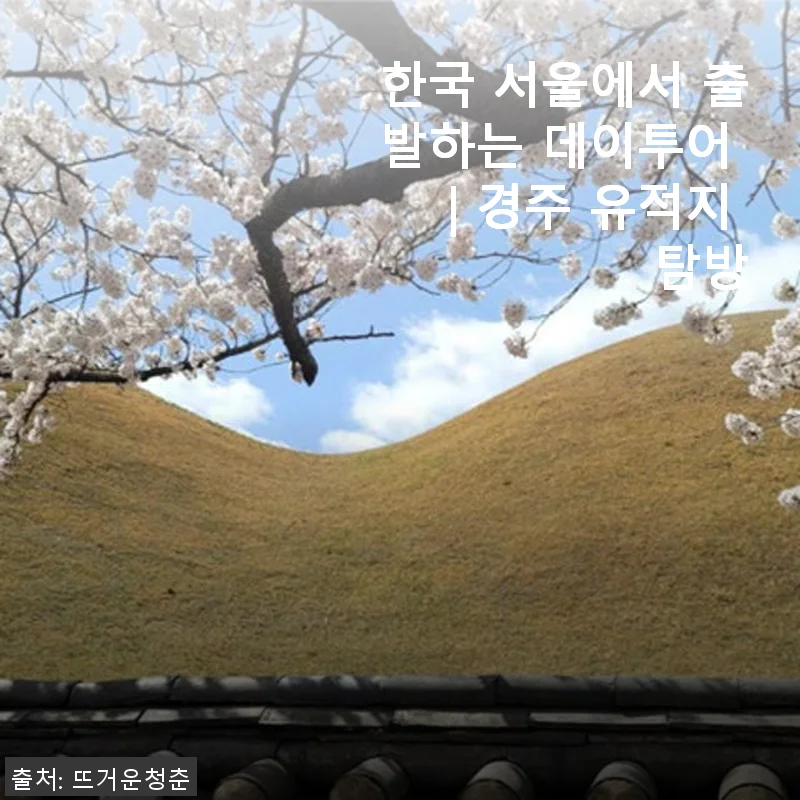 한국 서울에서 출발하는 데이투어 | 경주 유적지 탐방 사용후기