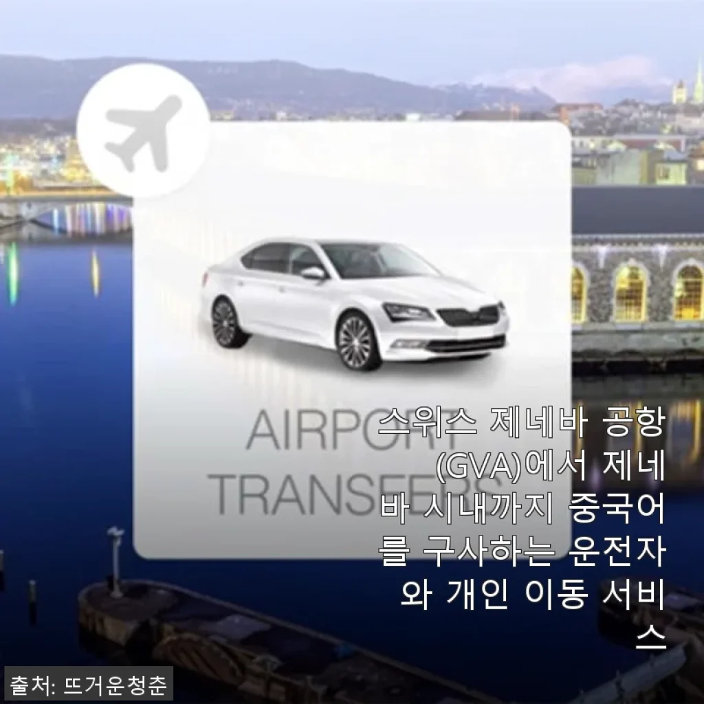 스위스 제네바 공항에서 시내까지 중국어 운전기사 개인 이동 서비스 사용후기
