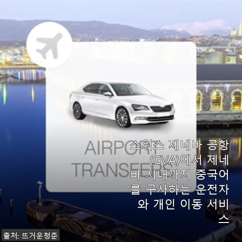 스위스 제네바 공항에서 시내까지 중국어 운전기사 개인 이동 서비스 사용후기