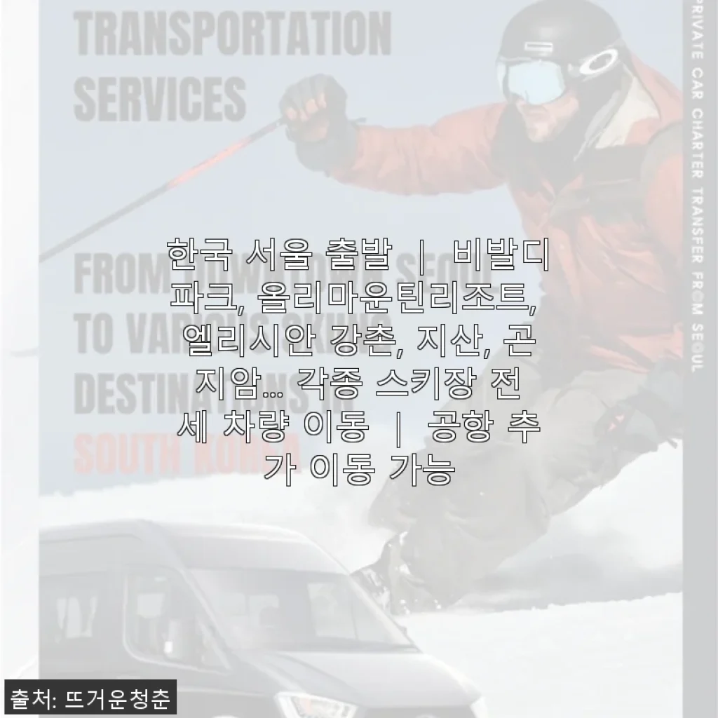 서울 출발 스키장 전세 차량 이동 서비스 사용후기