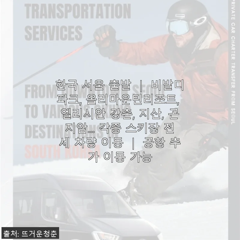 서울 출발 스키장 전세 차량 이동 서비스 사용후기
