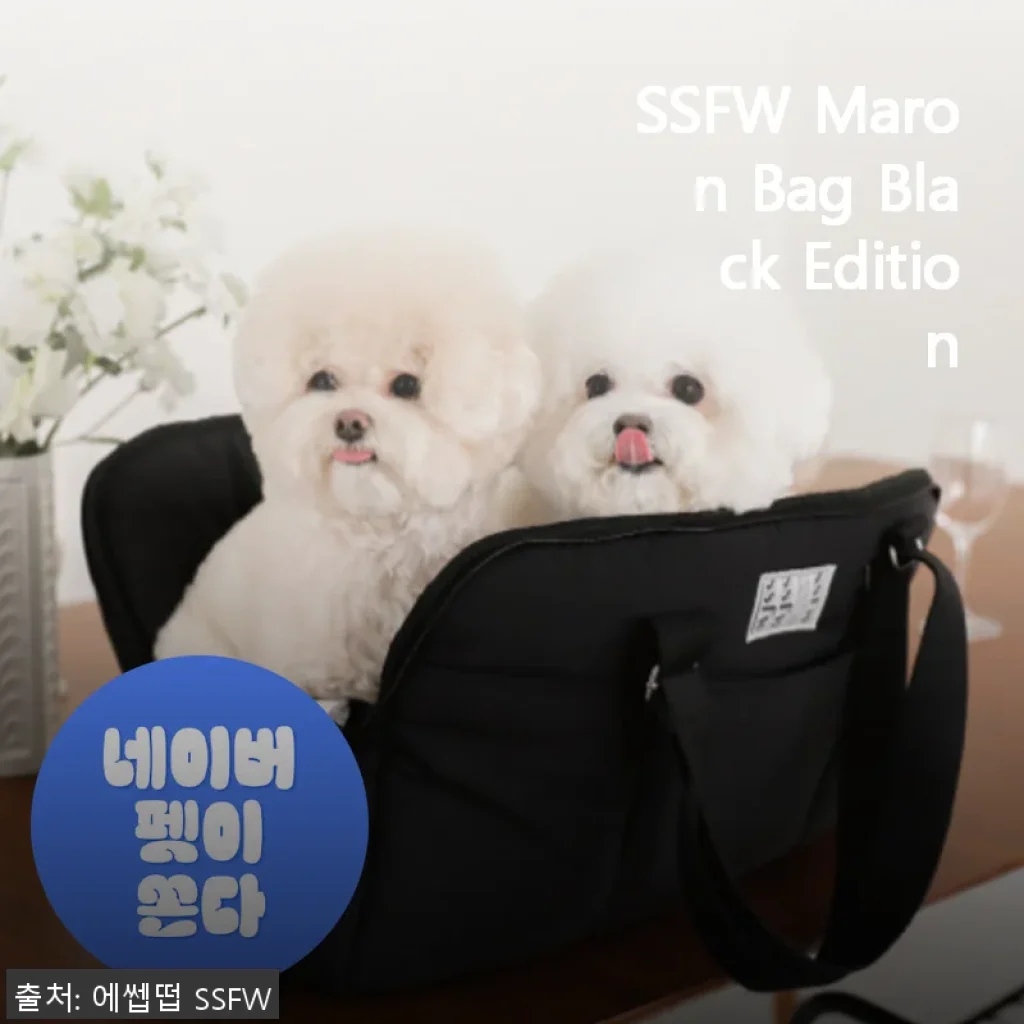SSFW Maron Bag Black Edition 사용후기: 반려동물과 함께한 편안한 여행 동반자