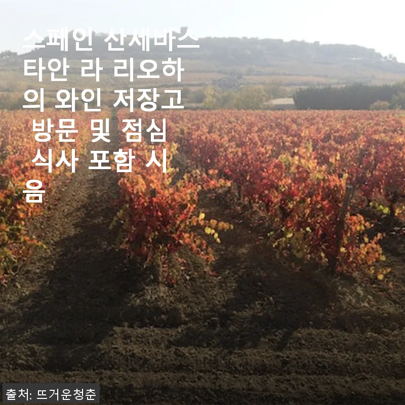 스페인 산세바스타안 라 리오하 와인 저장고 방문 및 점심 식사 포함 시음 후기
