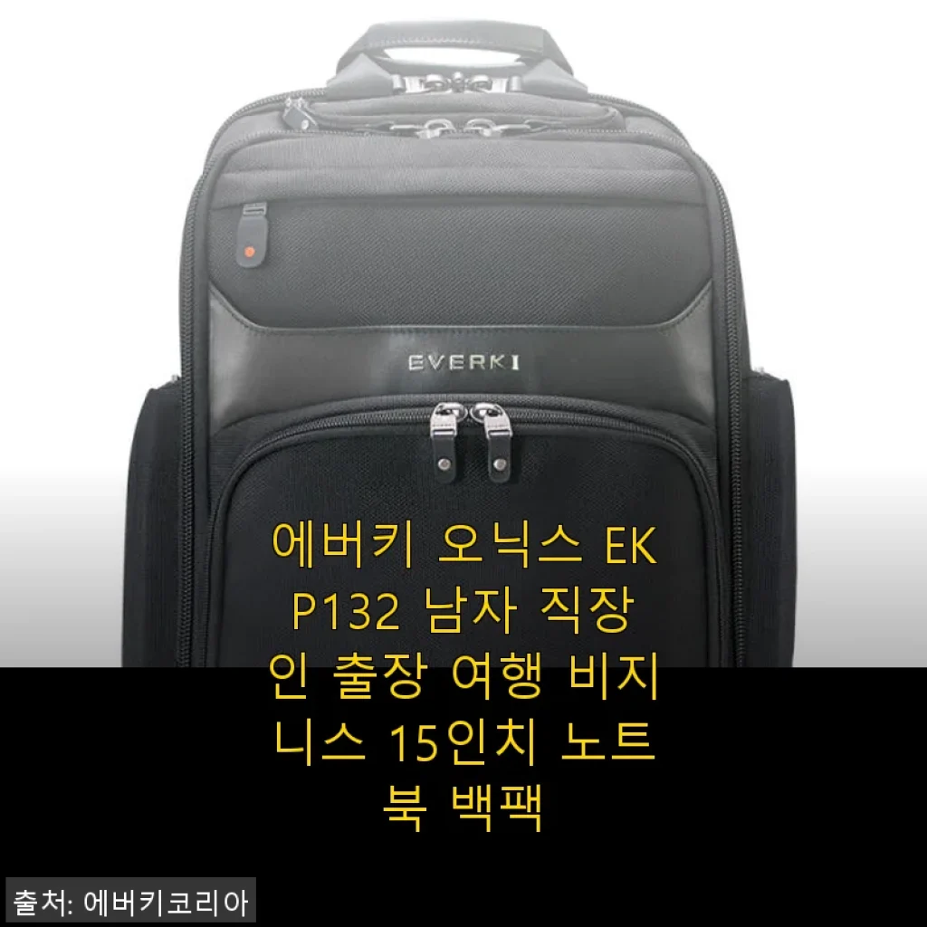 에버키 오닉스 EKP132 노트북 백팩, 출장과 비즈니스에 딱 맞는 선택