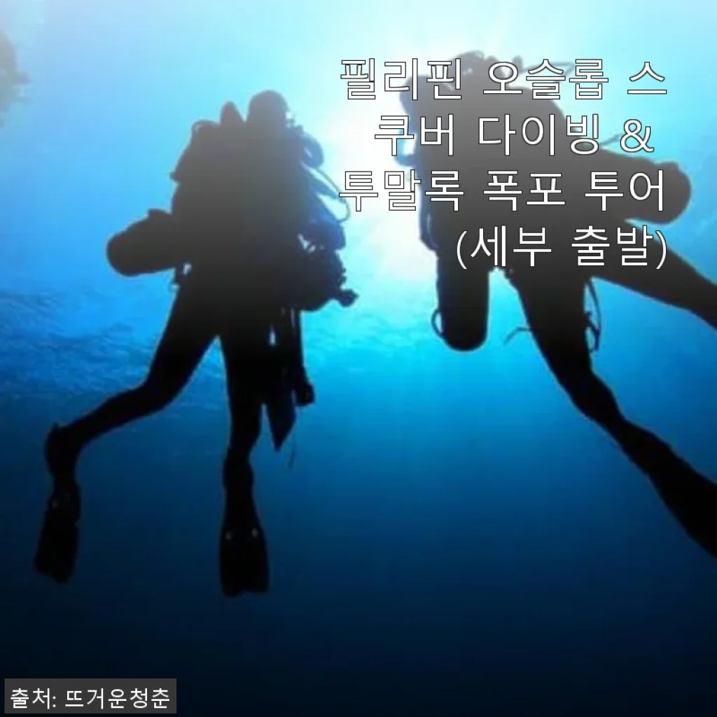 필리핀 오슬롭 스쿠버 다이빙 & 투말록 폭포 투어 사용후기: 세부 출발, 특별한 경험