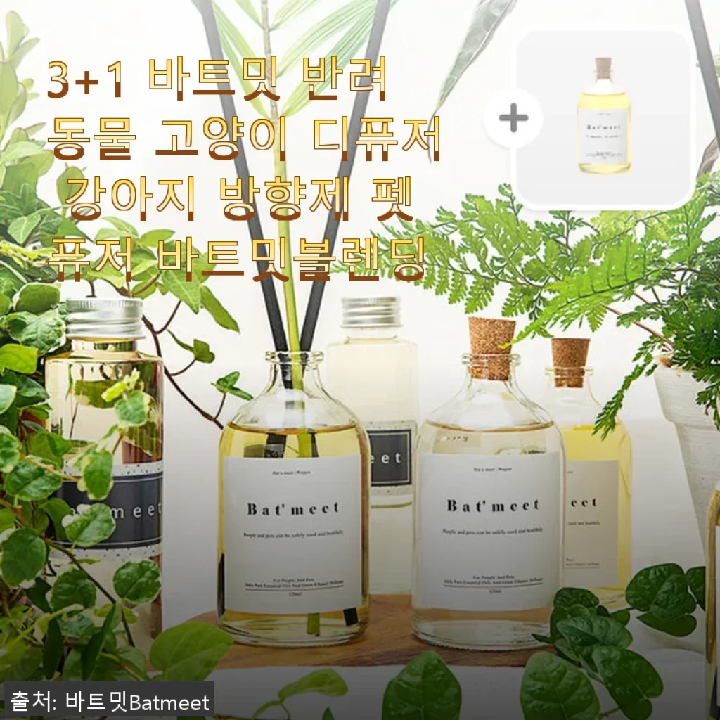 바트밋 반려동물 디퓨저 사용후기: 고양이와 함께하는 상쾌한 집안 분위기